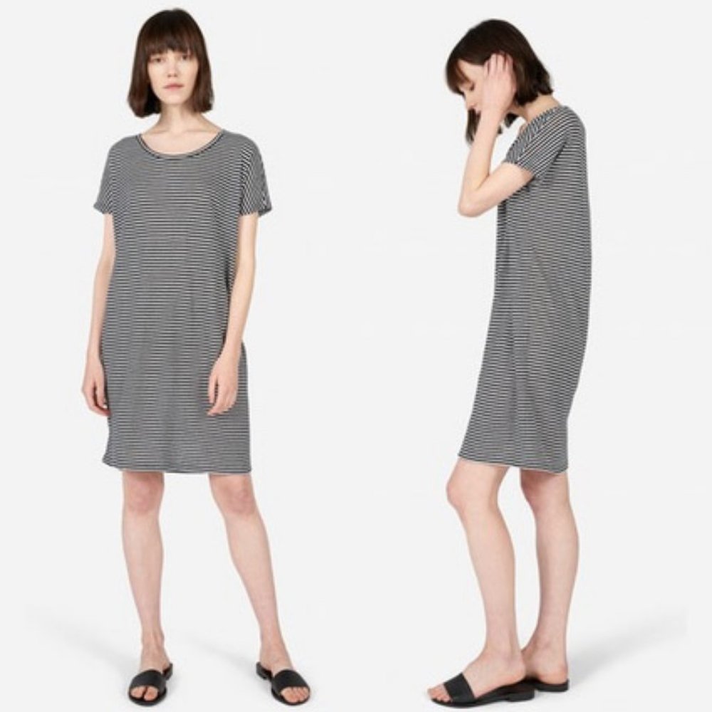Everlane Linen Dolman Tee Dress in Stripe